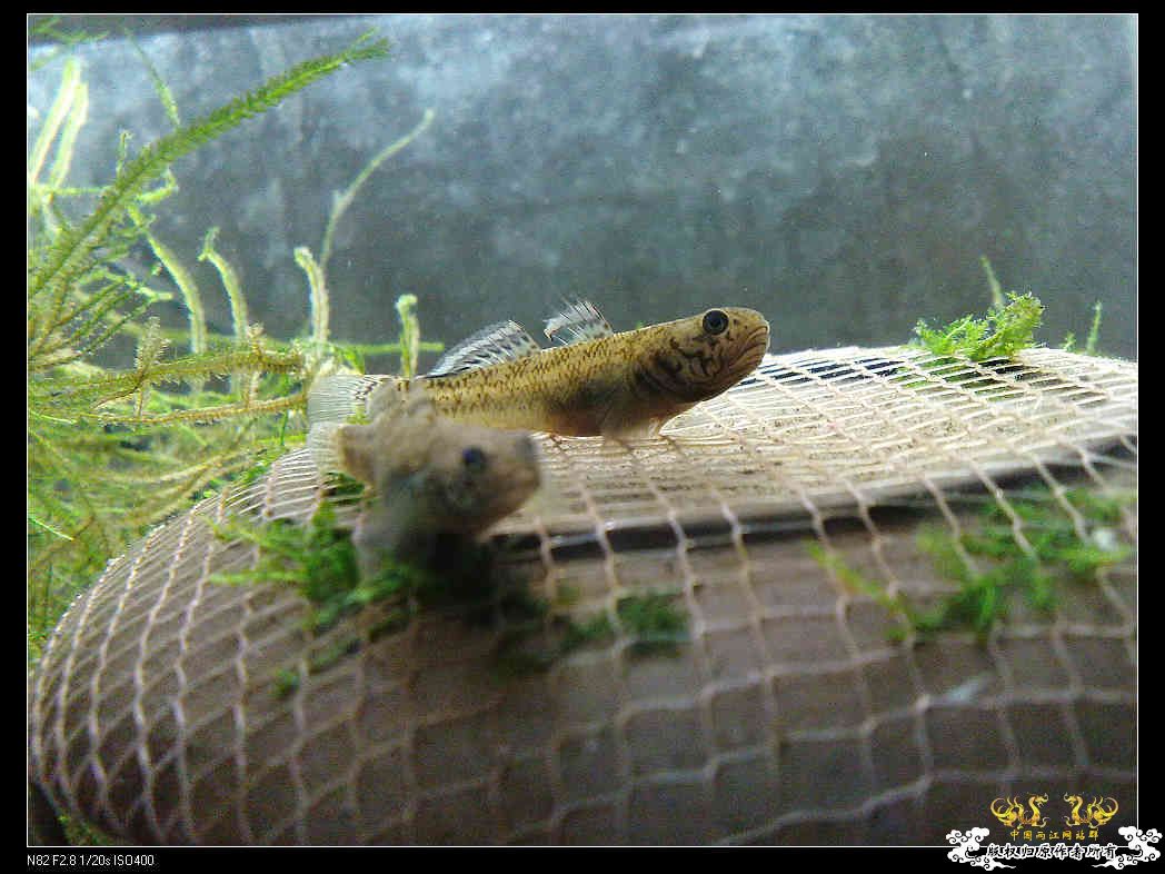 日常生活一刻,色香味