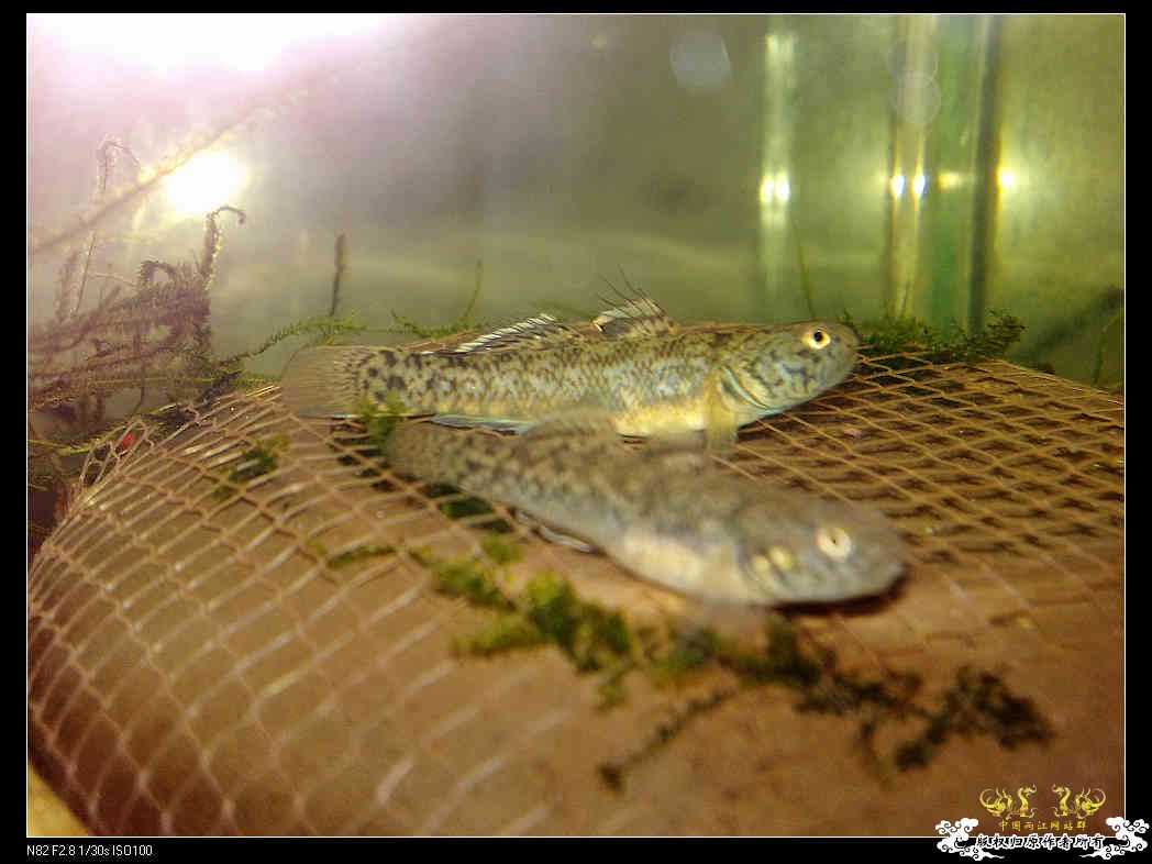 日常生活一刻,色香味