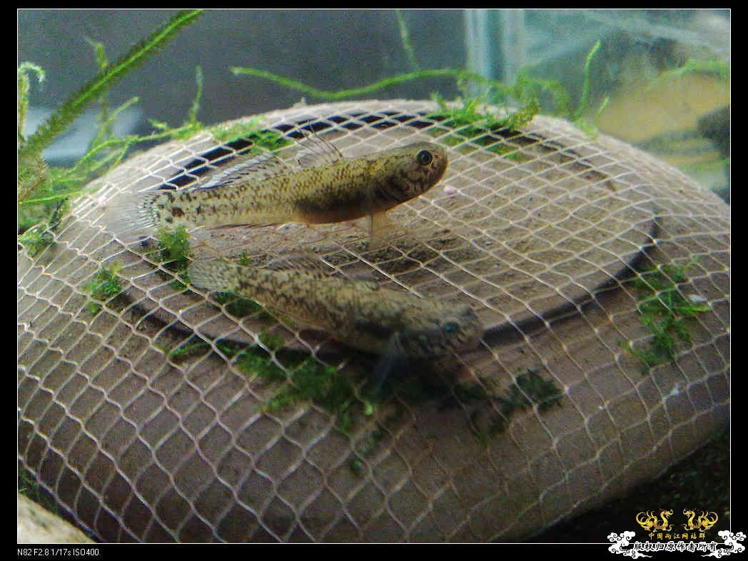 日常生活一刻,色香味