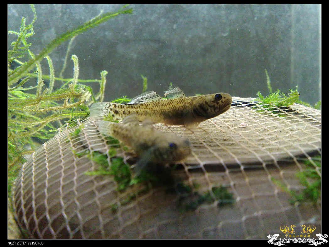 日常生活一刻,色香味