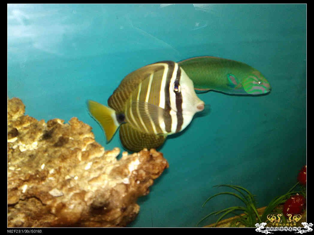 日常生活一刻,色香味