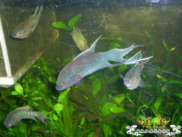 随便拍拍
