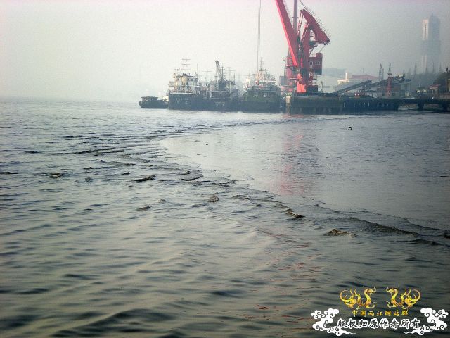 [灌水]浦江早晨