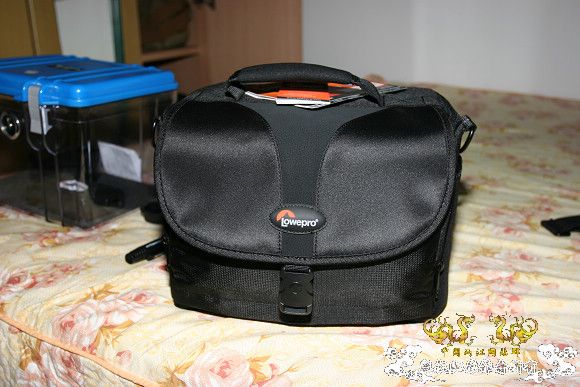 SHOW下今天的收获