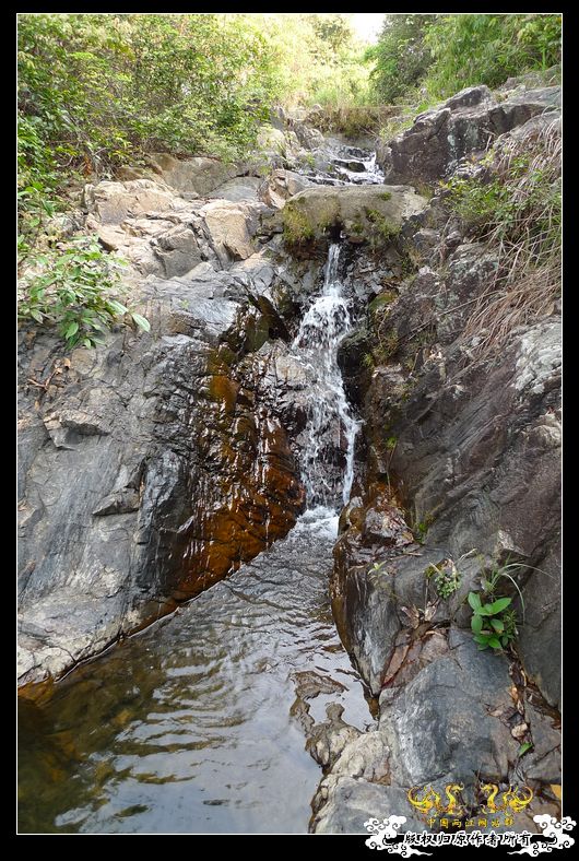 [原创]野外记录