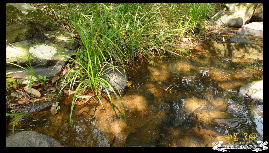 [原创]野外记录
