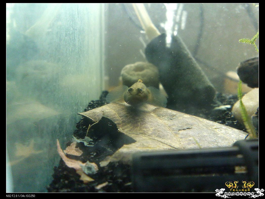 一点趣事,一些写真,一种新面孔 一点趣事,一些写真,一种新面孔