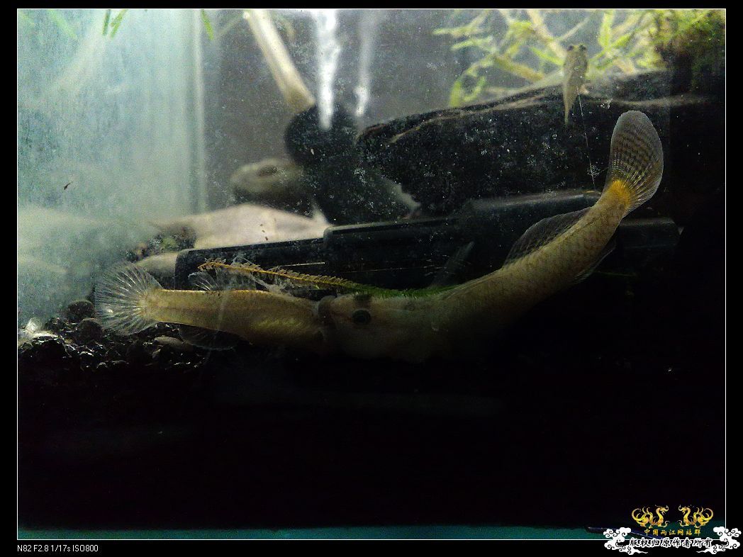 一点趣事,一些写真,一种新面孔 一点趣事,一些写真,一种新面孔