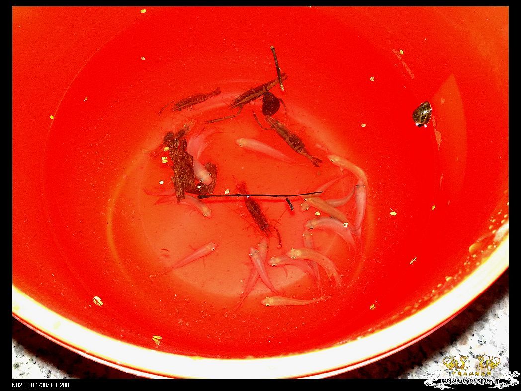 一点趣事，一些写真，一种新面孔