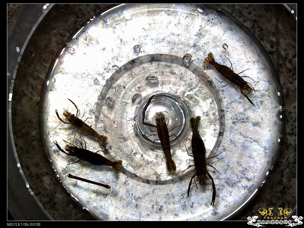 一点趣事，一些写真，一种新面孔