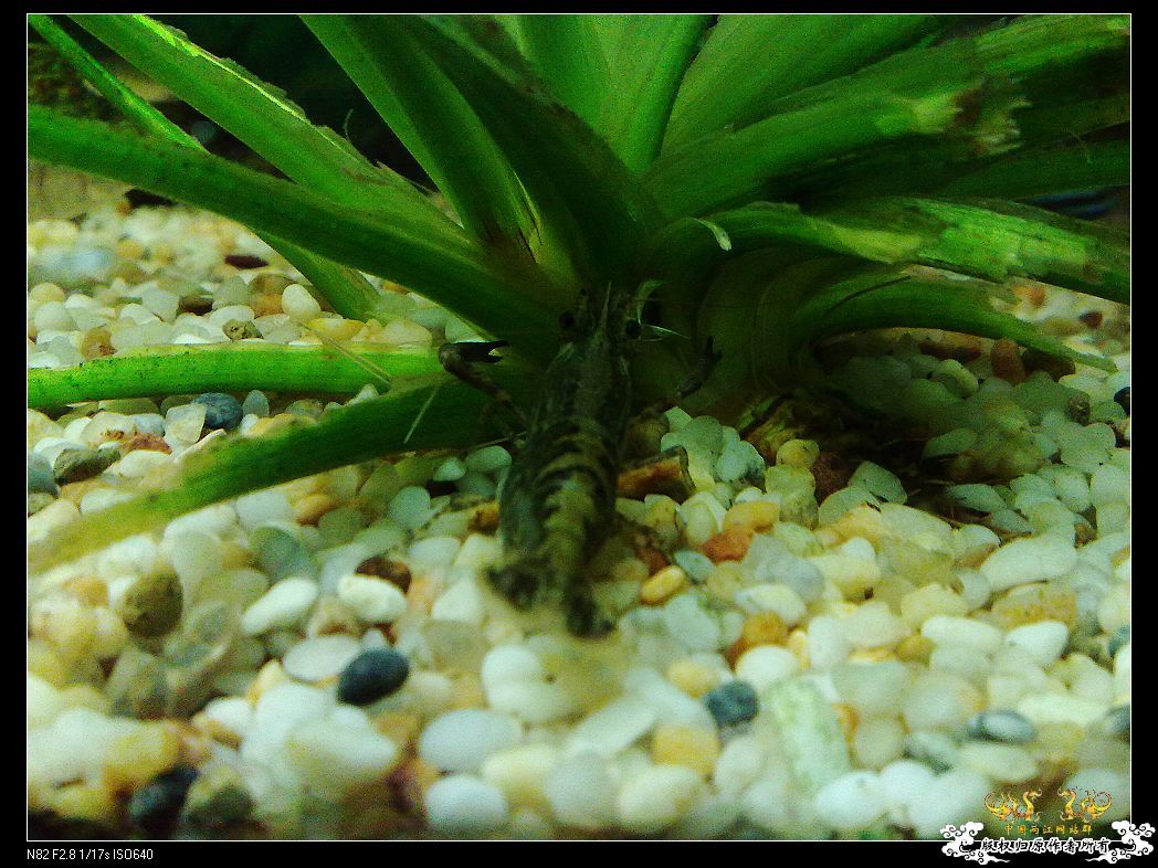 一点趣事，一些写真，一种新面孔