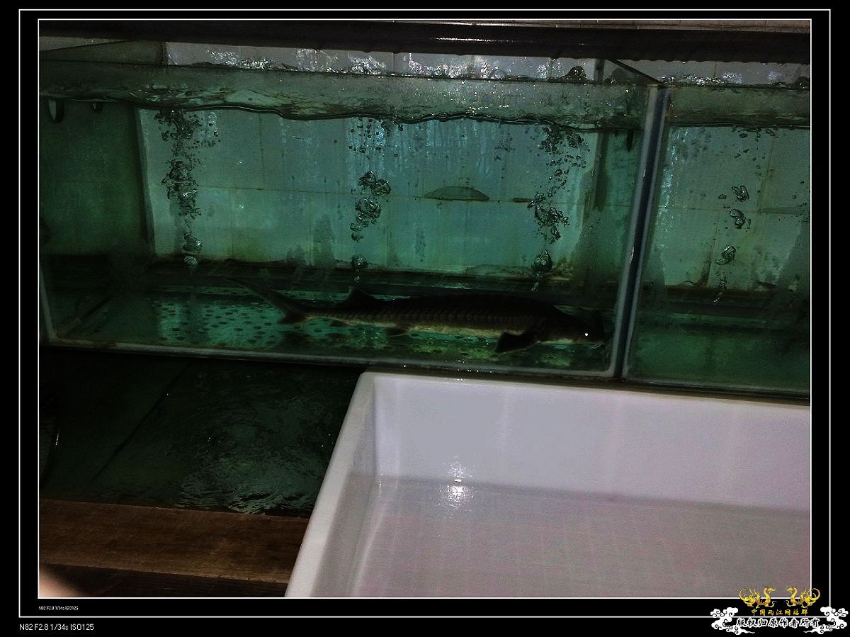 日常生活一刻,色香味