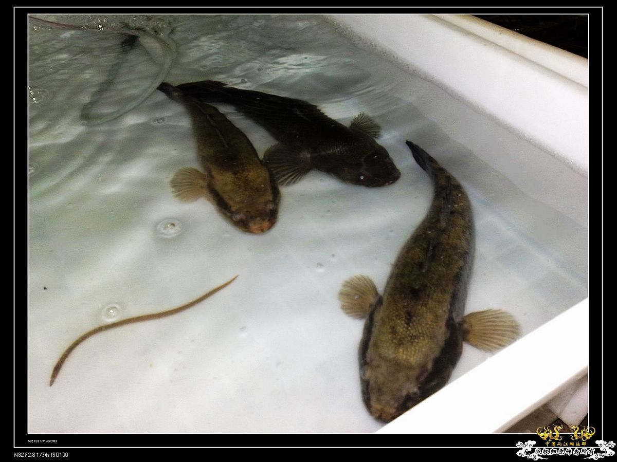 日常生活一刻,色香味