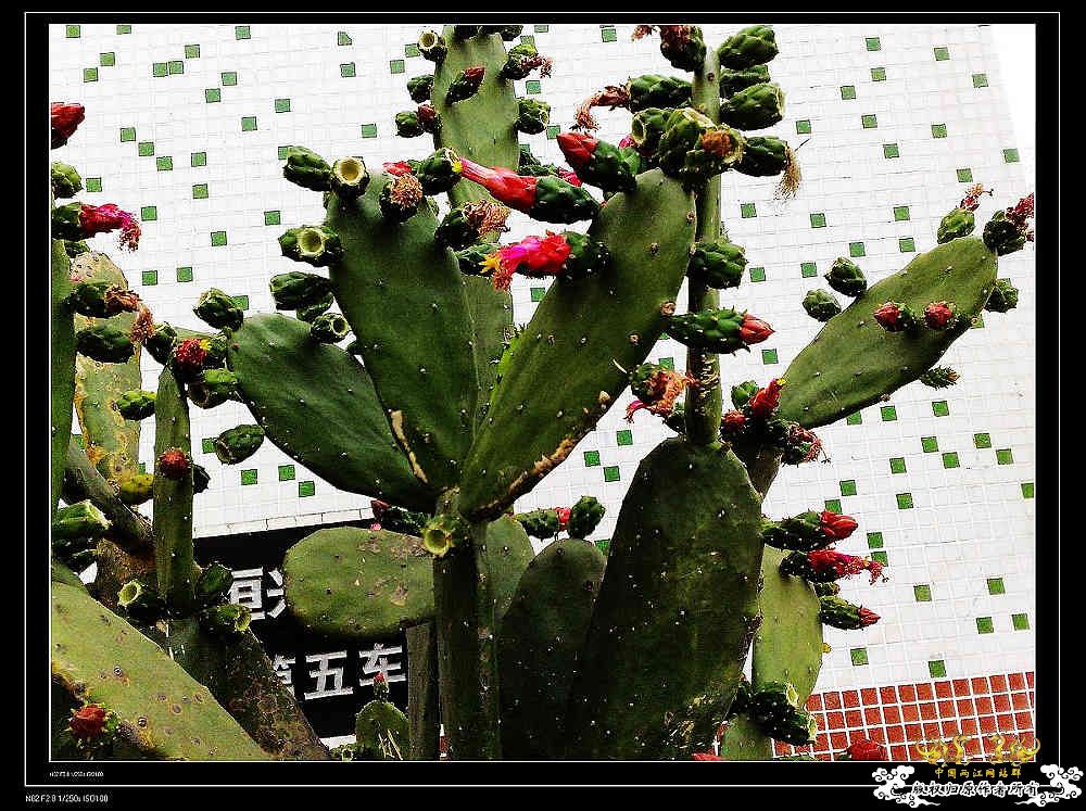 日常生活一刻,色香味