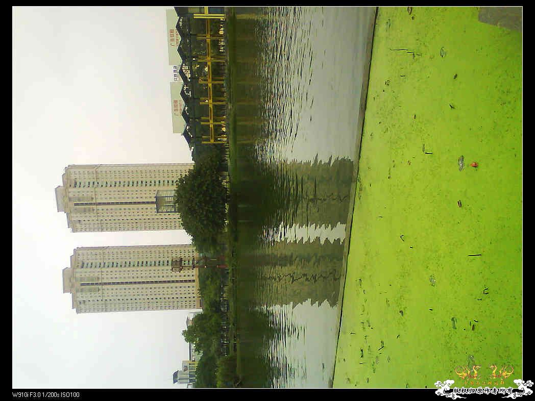 打造精华贴，营养丰富！！