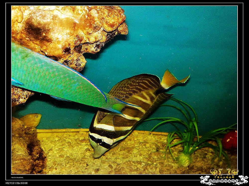 日常生活一刻,色香味