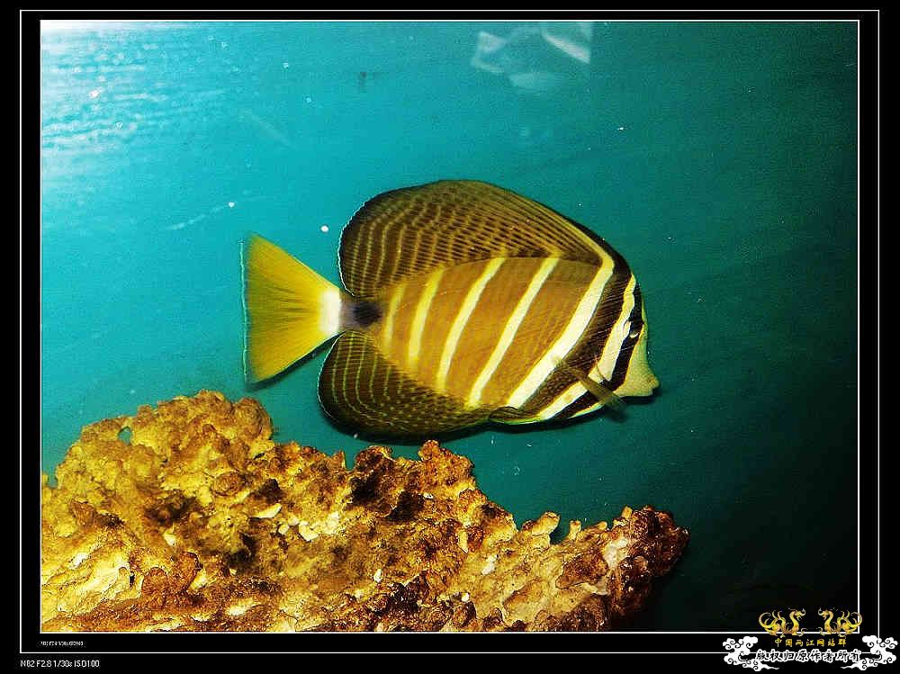 日常生活一刻,色香味