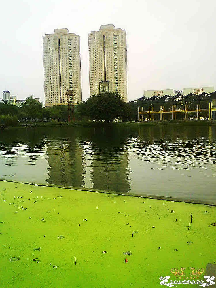 打造精华贴，营养丰富！！