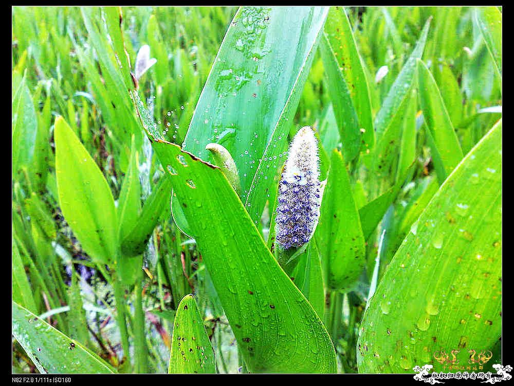 打造精华贴，营养丰富！！