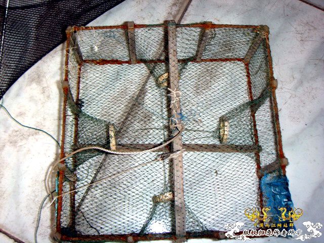 [原创]野采装备篇