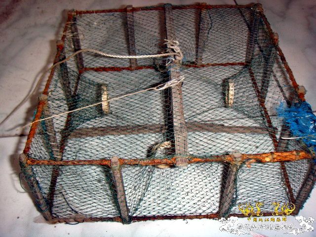 [原创]野采装备篇