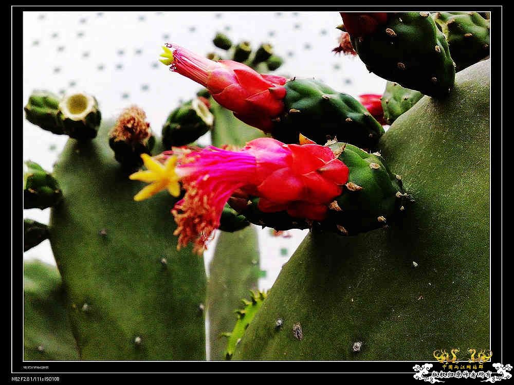 日常生活一刻,色香味