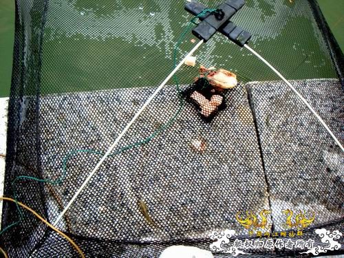 [原创]野采装备篇