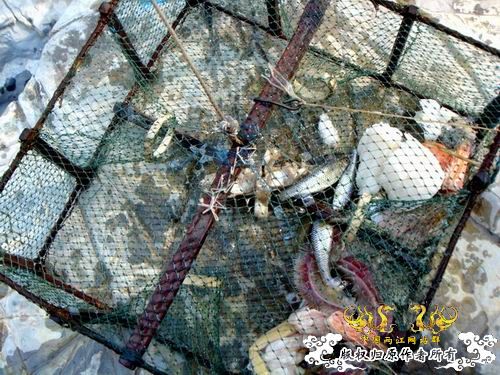 [原创]野采装备篇