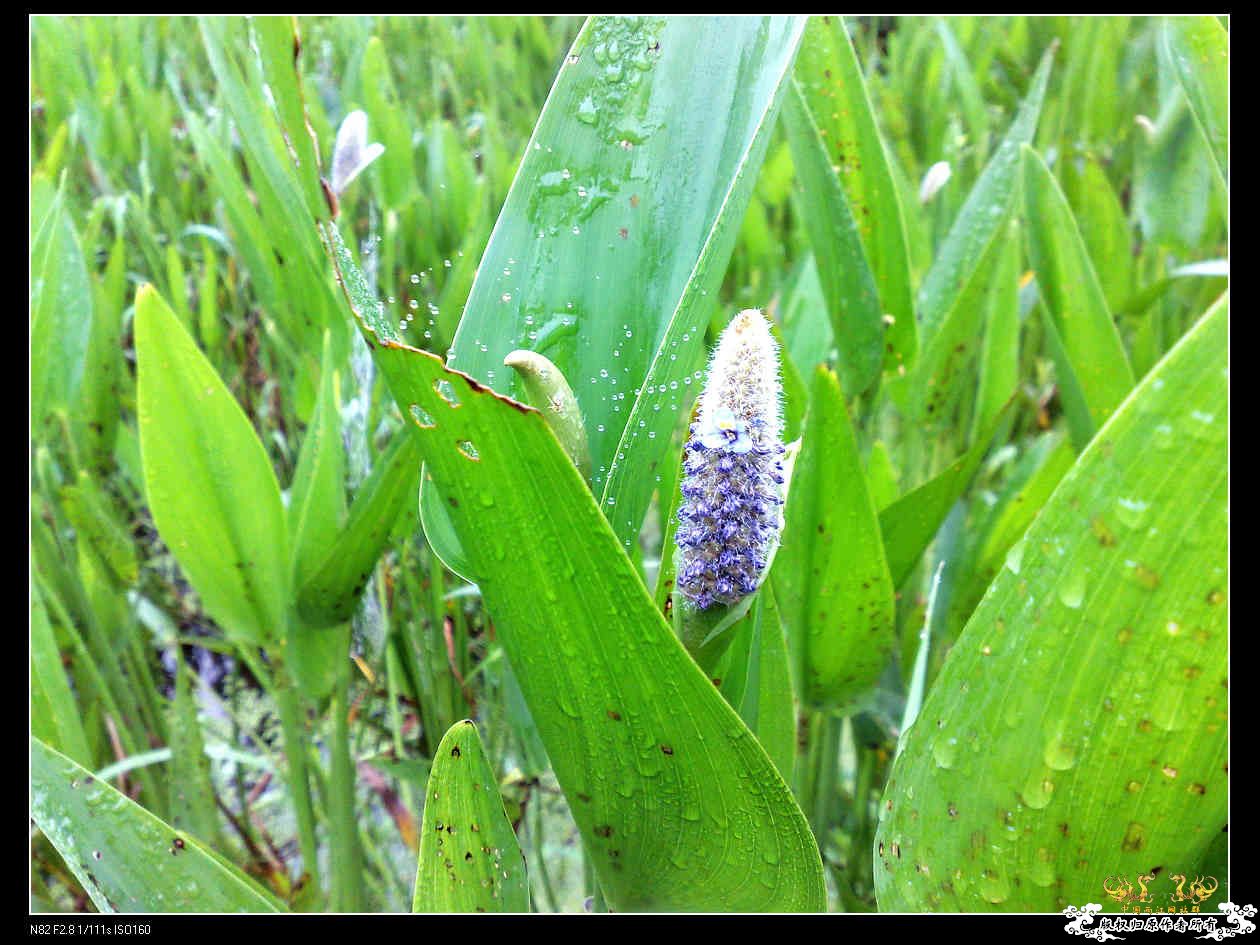 打造精华贴，营养丰富！！