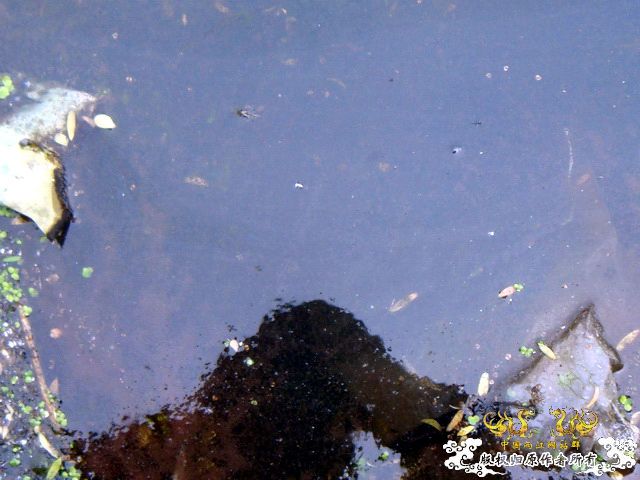 [原创]盛宴 第二季