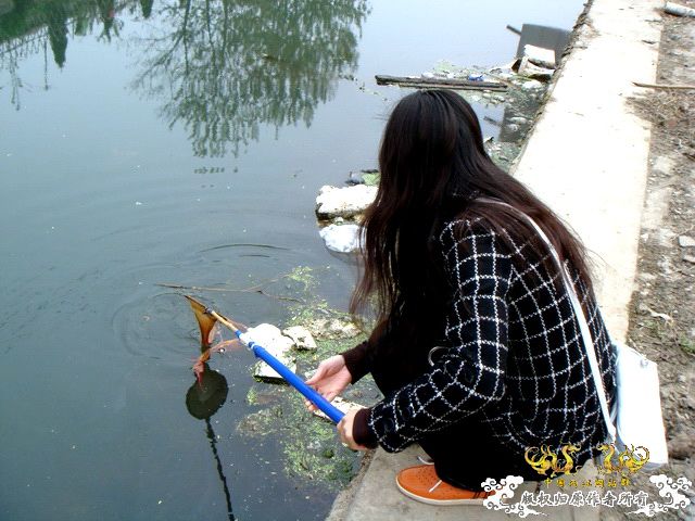 [原创]盛宴 第二季