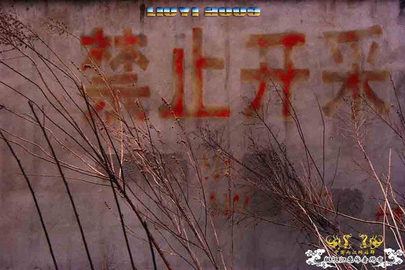 美人谷 美人谷