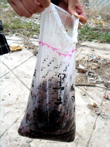 [原创]盛宴 第二季