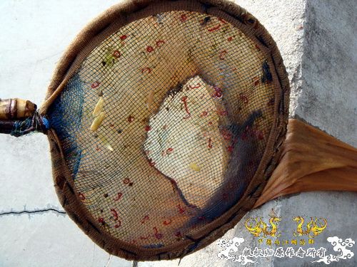 [原创]盛宴 第二季