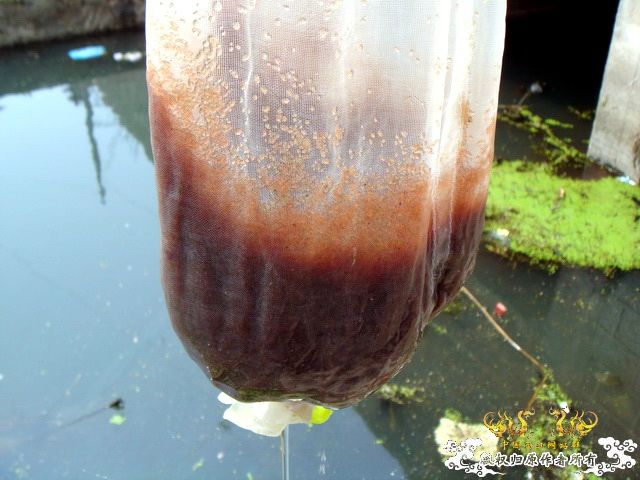 [原创]盛宴 第二季