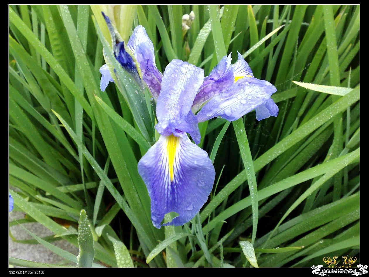 打造精华贴，营养丰富！！