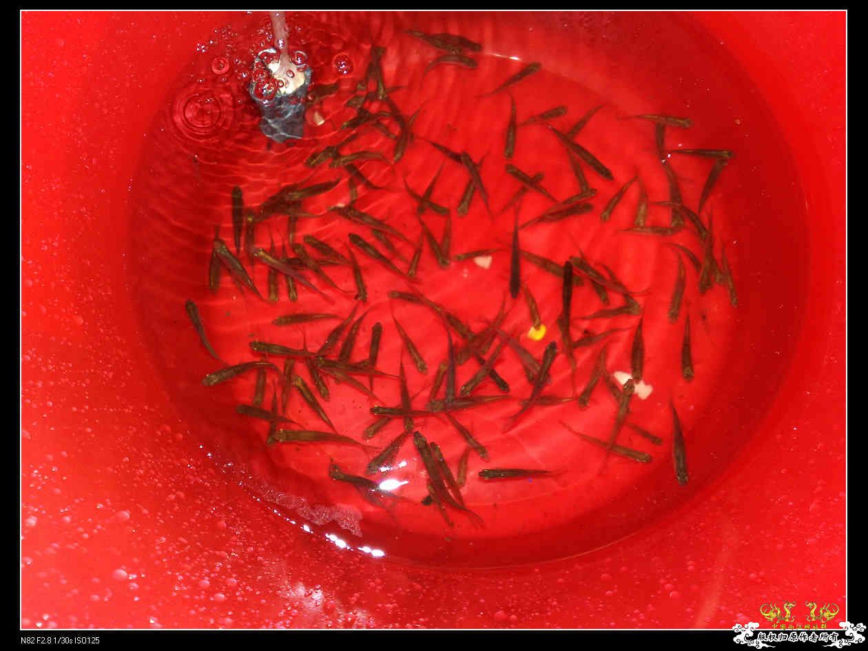 打造精华贴，营养丰富！！