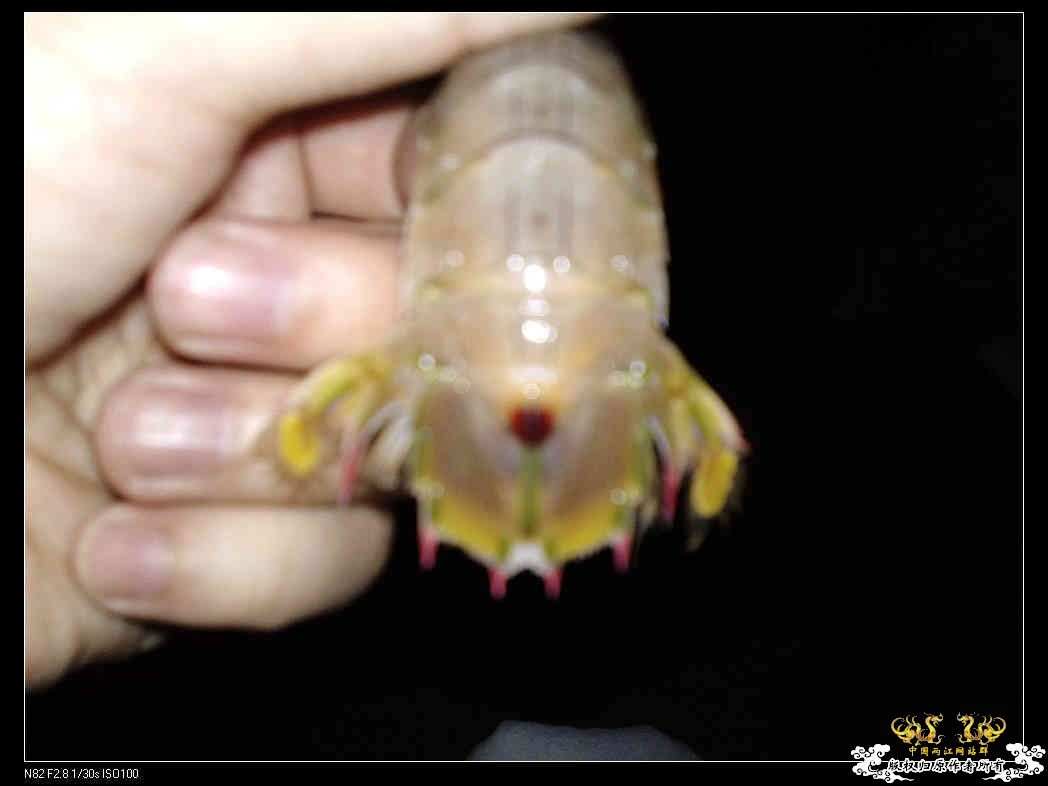 打造精华贴，营养丰富！！