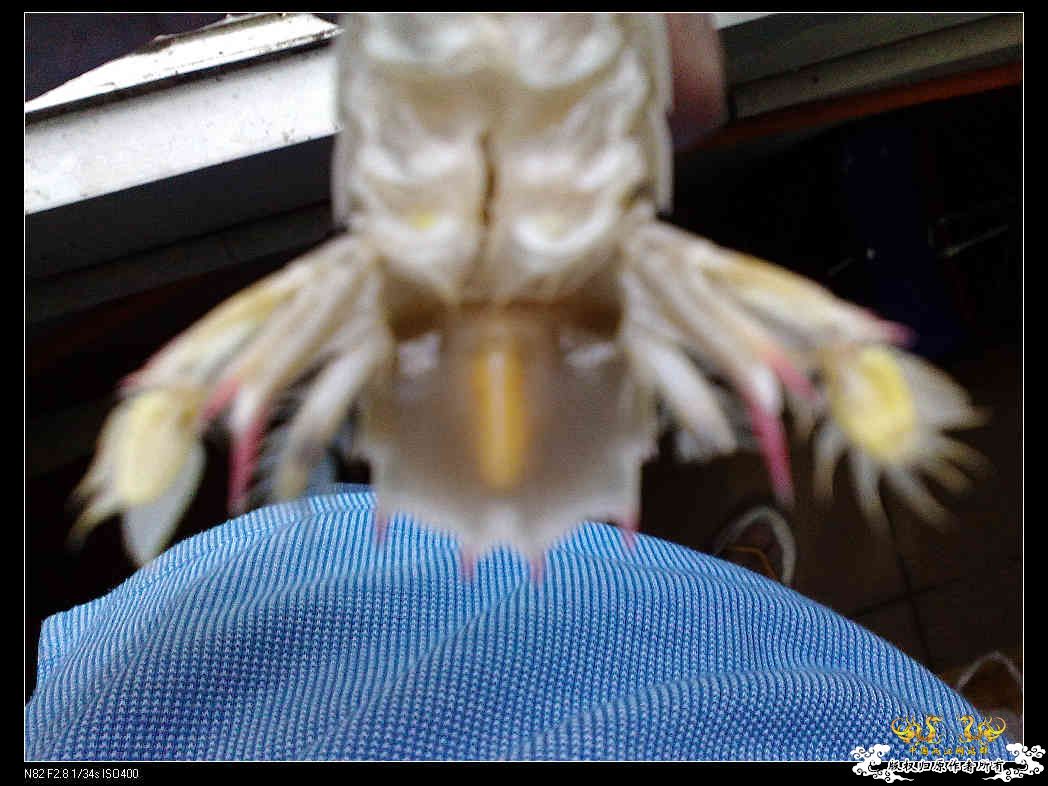 打造精华贴，营养丰富！！