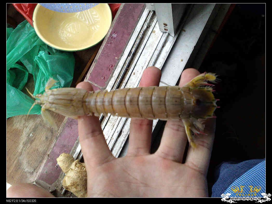 打造精华贴，营养丰富！！