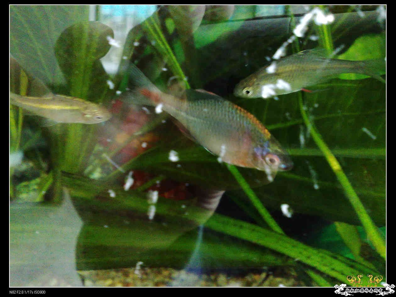 打造精华贴，营养丰富！！