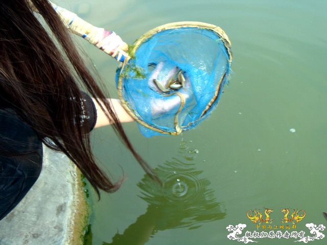 [原创]野采装备篇