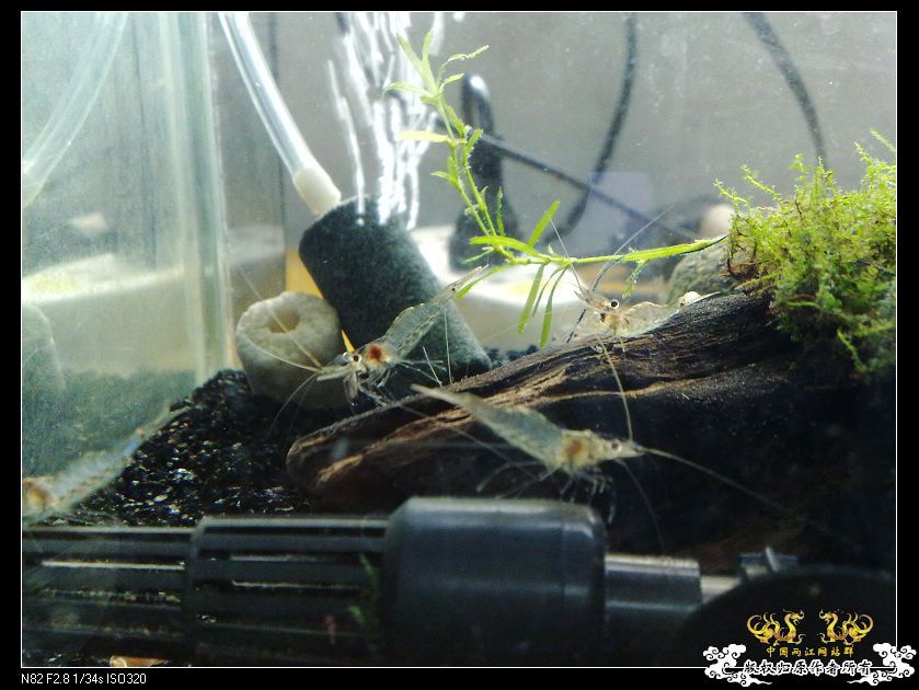 打造精华贴，营养丰富！！