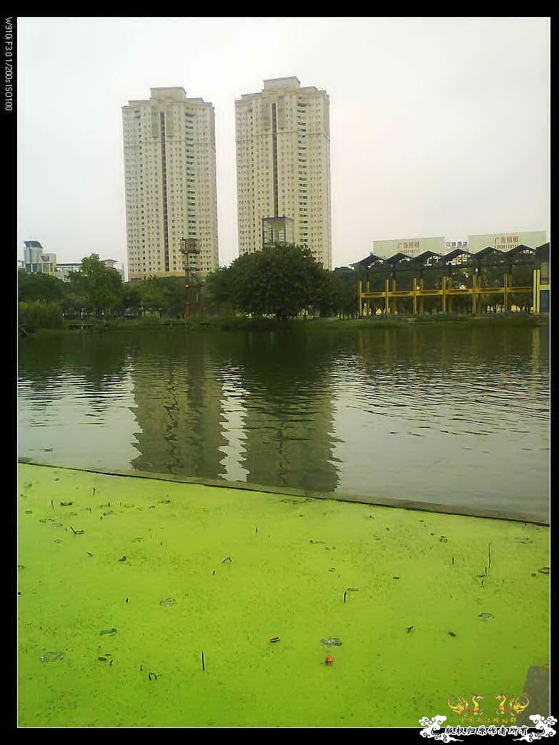 打造精华贴，营养丰富！！