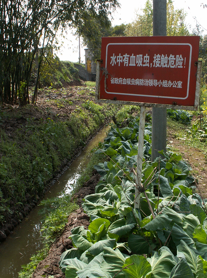 [讨论]大家外出野采对水生寄生虫及水蛭等会采取怎样的防护措施