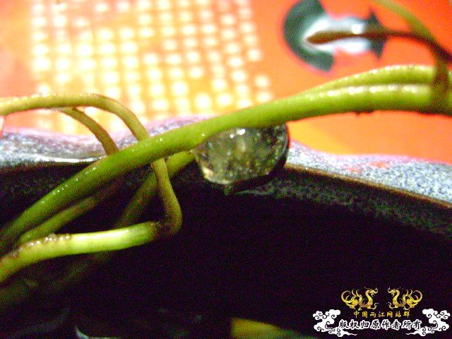 大家进来说说看，说对了有奖