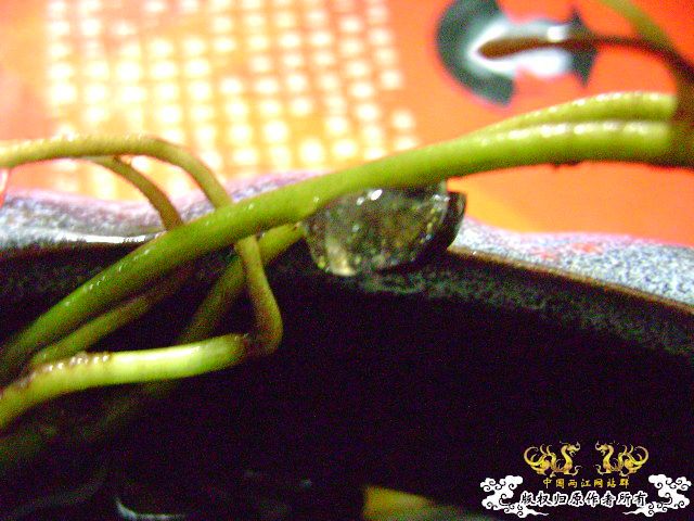 大家进来说说看，说对了有奖
