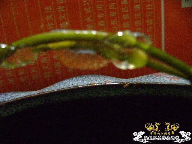 大家进来说说看，说对了有奖