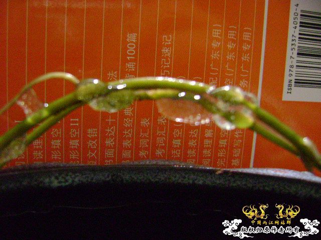大家进来说说看，说对了有奖