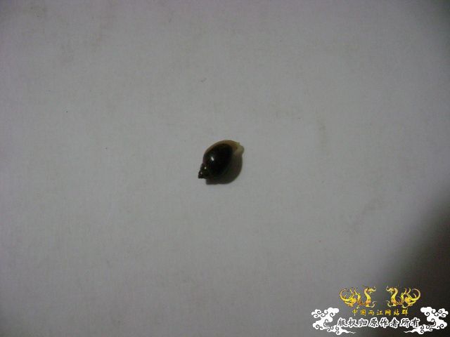 那卵的爸妈